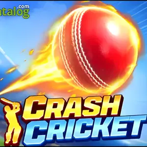 Crash Cricket icon